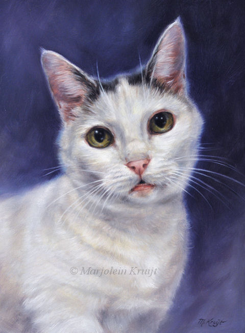 'Binkie'- kattenportret, 24x18, olieverf (verkocht/opdracht)