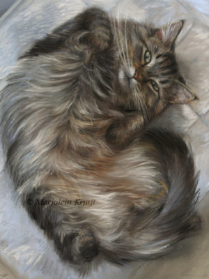 Schilderij maine coon portret in opdracht kattenkunst door Marjolein Kruijt