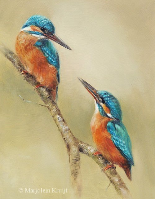 'Ijsvogels', 20x26 cm, olieverf schilderij (verkocht) - A4 PRINT verkrijgbaar in de webshop