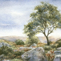 'Dartmoor tree', 13x11 cm, aquarel (NTK)