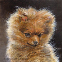 'Dwergkeeshondje pup', 13x13 cm, acryl, €450 incl. lijst (te koop)