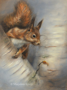 'Eekhoorn ', 18x24 cm, olieverf schilderij (verkocht)
