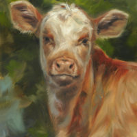 'Kalf', 18x24 cm, olieverf op paneel, koeienschilderij (te koop)