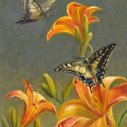 'Koninginnepages op lelies', 18x24 cm, olieverf schilderij (te koop)