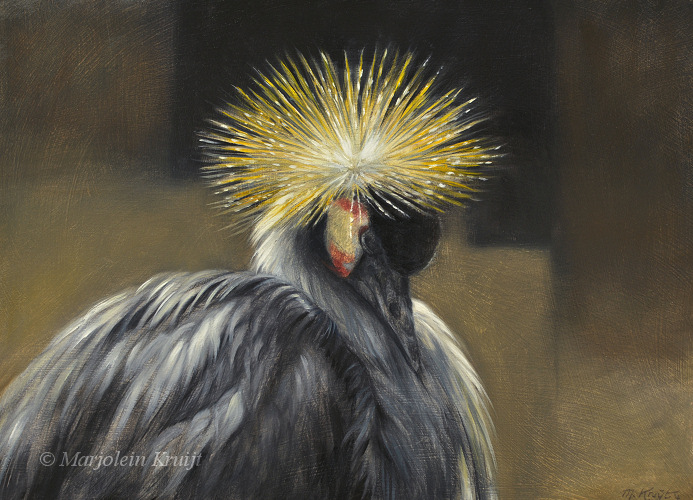 ‘In stilte’- kroonkraanvogel, 40x25cm, olieverf (verkocht)