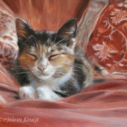 'Misu' -kitten, 18x13 cm, olieverf schilderij (verkocht)