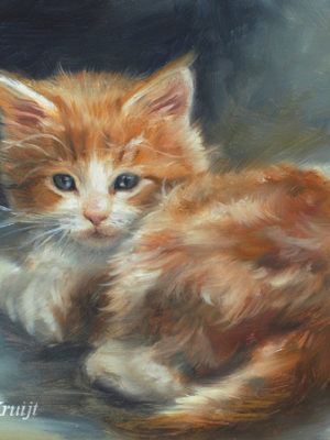 'Rode kitten', 18x13 cm, olieverf schilderij (verkocht)