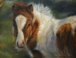 'Mini shetlander veulen', 24x18 cm, olieverf schilderij (NTK)
