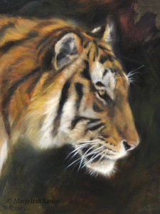 'Tijger', 18x24 cm, olieverf schilderij (te koop)