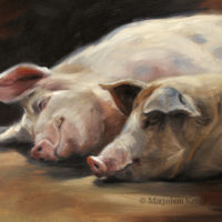 'Slapende varkens', 24x18 cm, olieverf schilderij (verkocht)