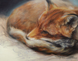 'Slapende vos', 30x24 cm, olieverf schilderij (verkocht)