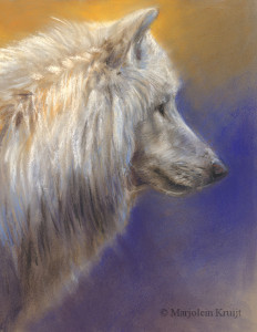 'Witte wolf' 20x30 cm, pastel schilderij (te koop)