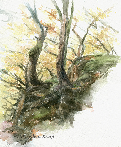 'Bomen op de rotsen' -Yorkshire, 30 x 35 cm, aquarel