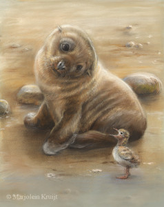 'Zeeleeuwtje en jonge stern', 20x23 cm, pastel (verkocht)