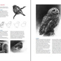 Boek inspirerend dieren teken en schilderen met Marjolein Kruijt-preview2