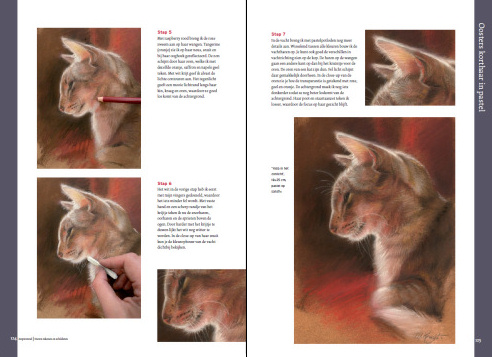 Boek inspirerend dieren teken en schilderen met Marjolein Kruijt-preview4