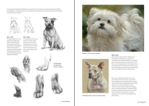 Boek inspirerend dieren teken en schilderen met Marjolein Kruijt-preview6