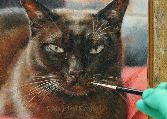 burmees kattenportret in opdracht Marjolein Kruijt