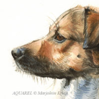 close-up aquarel techniek: kortharige hondenvacht
