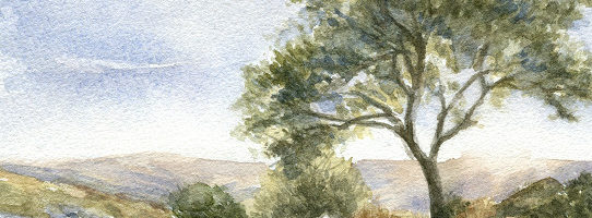 Dartmoor landschap aquarel schilderij door Marjolein Kruijt
