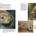 Preview Book painting and drawing animals
