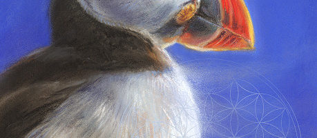 Dierensymboliek: Papegaaiduiker, pastel schilderij door Marjolein Kruijt