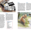 Boek dieren tekenen en schilderen met Marjolein Kruijt-ACRYL-preview