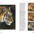 Boek dieren tekenen en schilderen met Marjolein Kruijt-TIJGER-preview