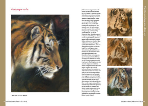 Boek dieren tekenen en schilderen met Marjolein Kruijt-TIJGER-preview