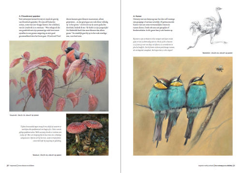 Boek Inspirerend dieren tekenen en schilderen - Marjolein Kruijt DEEL 2 - vogels schilderen