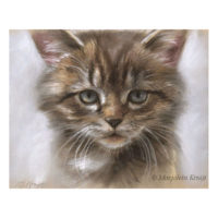 'Kitten', 22x17 cm, portrait in pastel (for sale)