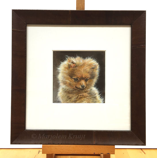 'Dwergkeeshondje pup', portret schilderij in acryl, Marjolein Kruijt (te koop)