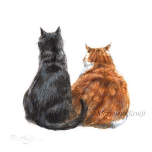 'Twee katten samen', 10x10 cm, Marjolein Kruijt (verkocht/opdracht)