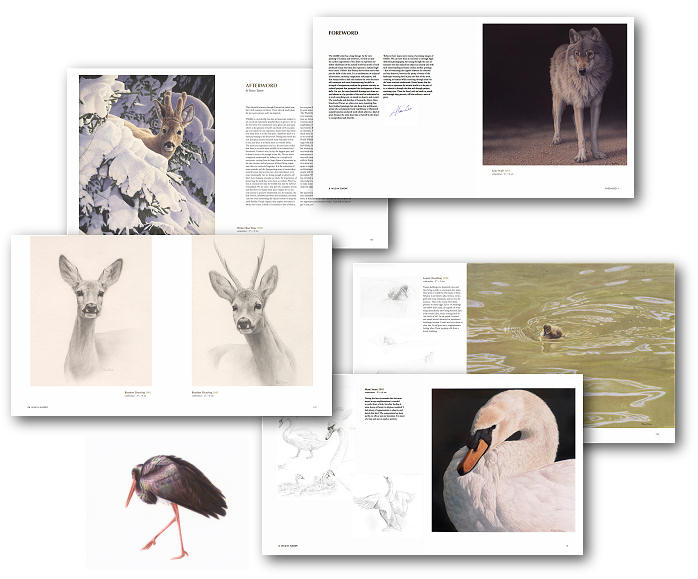Boek Wild in Europa door Renso Tamse wildlife kunstenaar