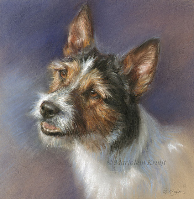 'Jack Russell terrier', 25x25 cm, pastel (verkocht/opdracht)
