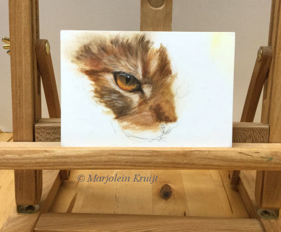 Kattenoog studie schilderij in olieverf (te koop) - Marjolein Kruijt