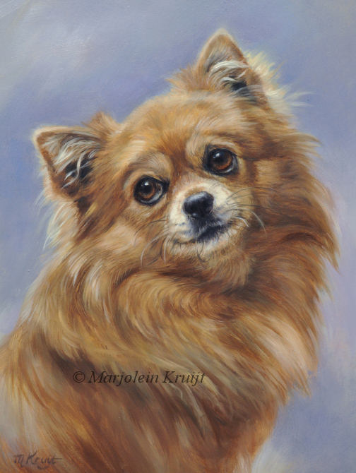 'Chihuahua', 24x18 cm, olieverf schilderij | portret (verkocht/opdracht)