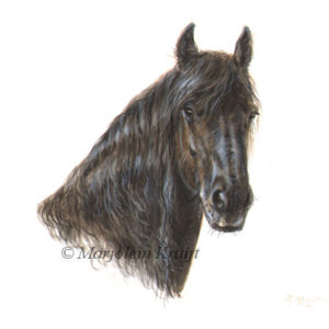 Miniatuur portret, fries paard, acryl, 10x10 cm, Marjolein Kruijt (verkocht)