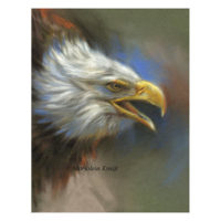 'Amerikaanse zeearend', pastel schilderij (te koop) (te koop)