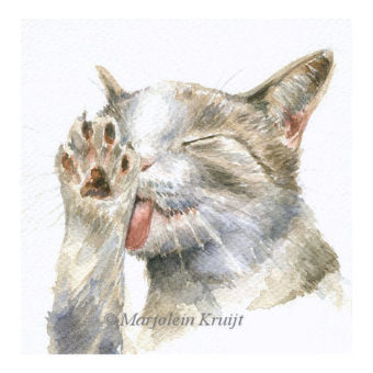 'Wassende kat', 15x15 cm, aquarel (te koop)
