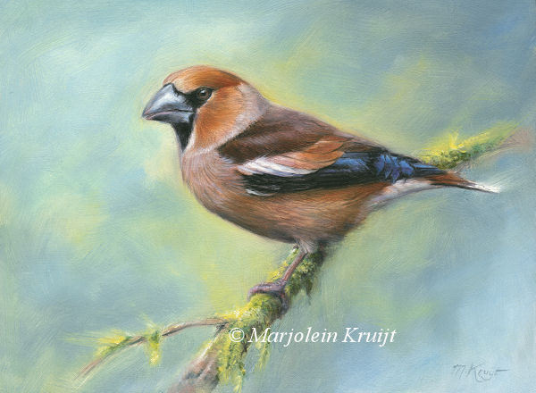 Goede Vogel schilderijen en vogelkunst door Marjolein Kruijt PY-17