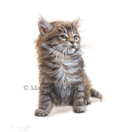 'Maine coon Kitten', schilderij 14x14 cm, Marjolein Kruijt (verkocht)