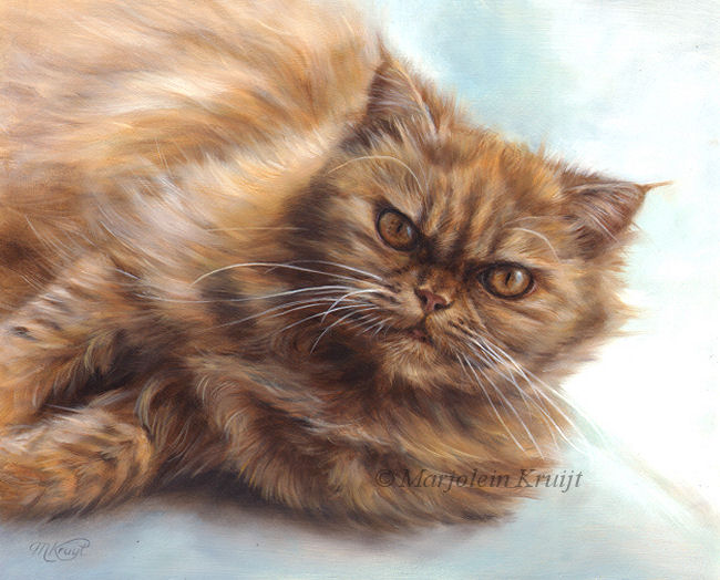 'Rode pers'- eefje, 24x30 cm, olieverf kattenschilderij (verkocht/opdracht)