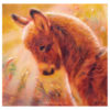 'Sunlit- ezel', 21x21 cm, olieverf schilderij (te koop)