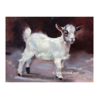 'Jong geitje', 18x24 cm, olieverf schilderij (verkocht)