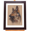 'Herder pup', buitenmaat lijst 48×38 cm,pastel schilderij (te koop)