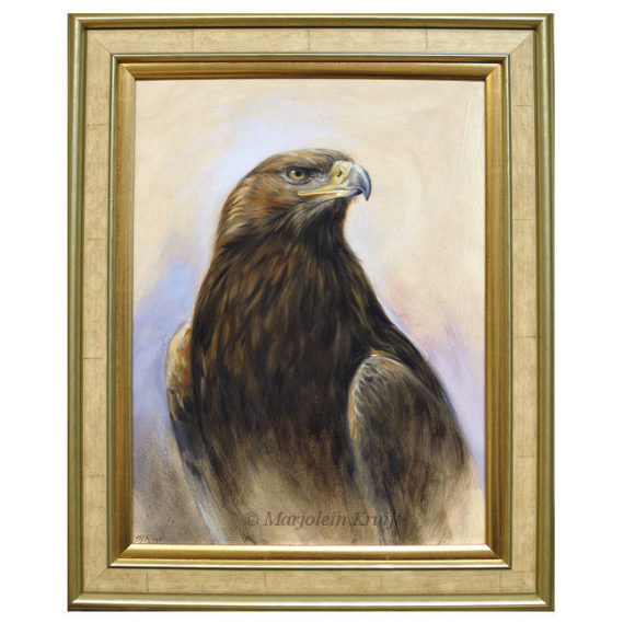 'On the lookout'- Steenarend, 30x40 cm, olieverf schilderij (te koop)