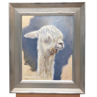 'Suri alpaca', 24x30 cm, olieverf schilderij (te koop)