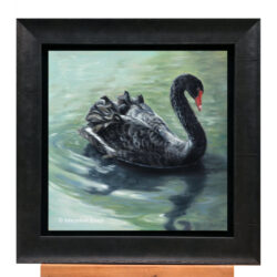 'Zwarte zwaan', 30x30 cm, olieverf schilderij, (te koop)