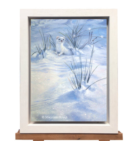 'Hermelijn', 30x22 cm, olieverf schilderij (te koop)
